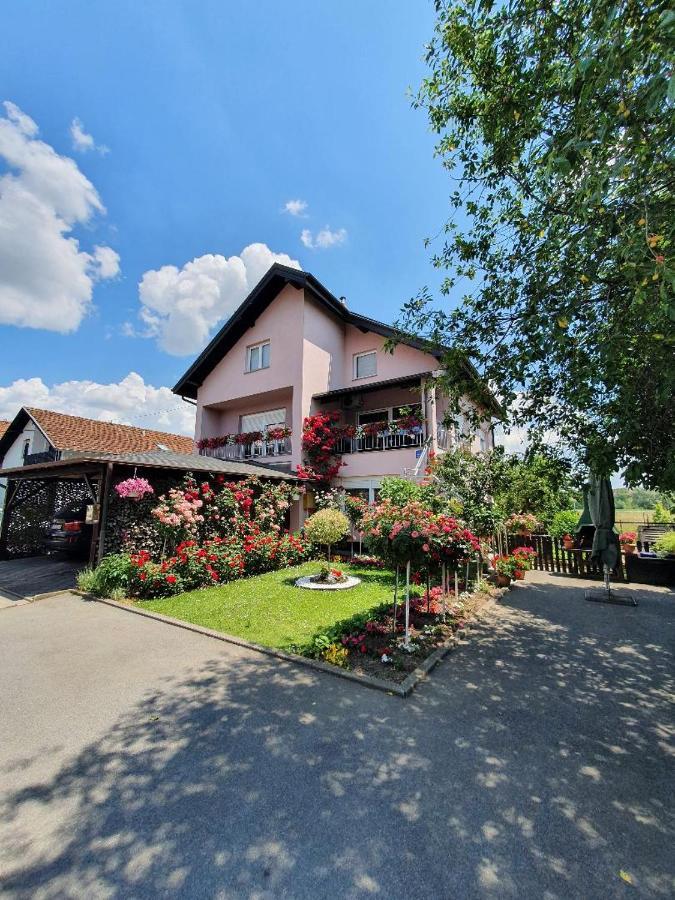 Apartman Vesna Bjelovar Bagian luar foto